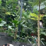 Photo of tourists sleeping near Jewel Rain Vortex upsets S’poreans
