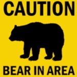 Calgary police warn of bear sighting in Signal Hill neighbourhood