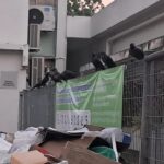 'It's truly disgusting' — Residents complain that garbage dumps full of cardboard at wet markets create 'a feast' for crows