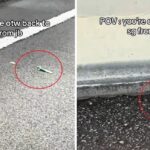 Motorists dump vapes on Causeway to avoid penalties before entering Singapore