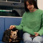 Pawrent questions ban on pets in public transport, calls for pilot scheme on LRTs—Netizens sound out